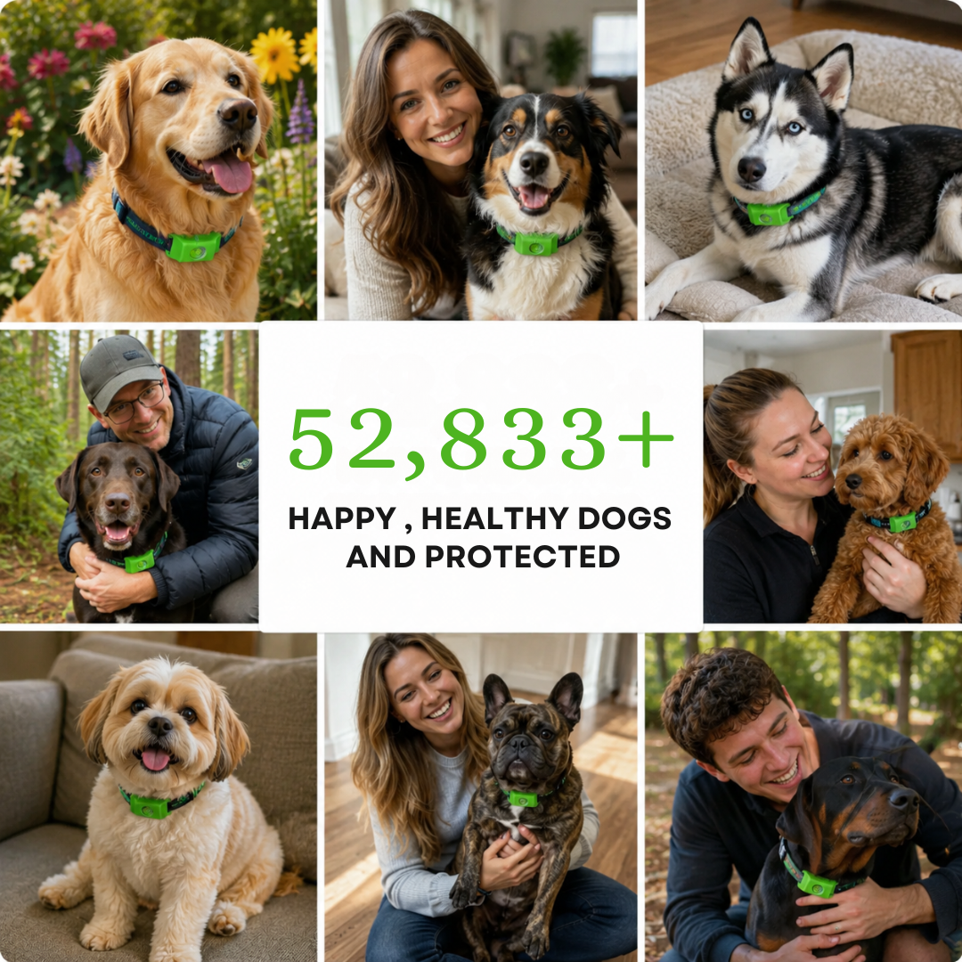 Puppwell™ Flea & Tick Collar Pendant — 12 Months of Protection