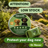Puppwell™ Flea & Tick Collar Pendant — 12 Months of Protection 1