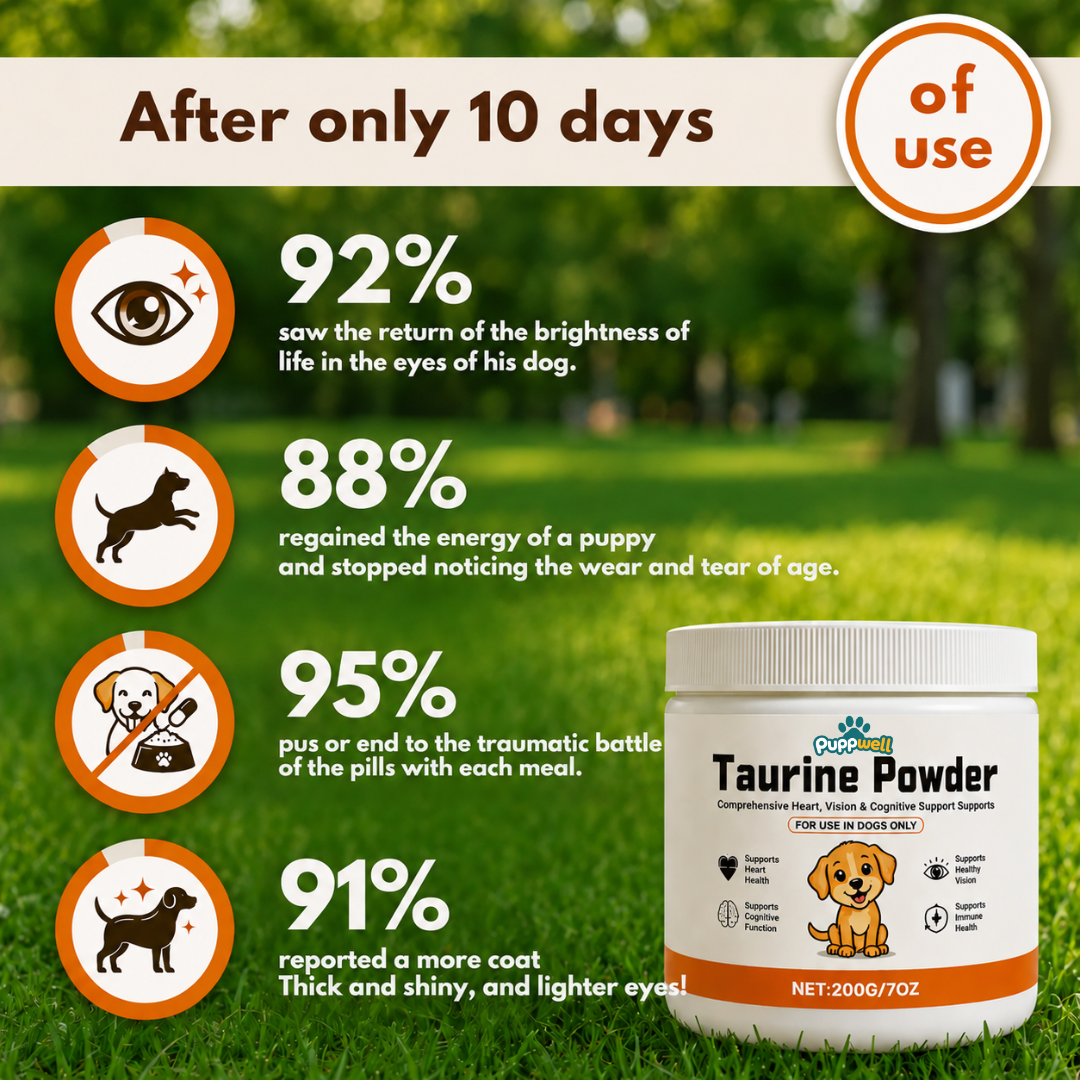 Puppwell™ Taurine for Dogs — Heart Support & Longevity