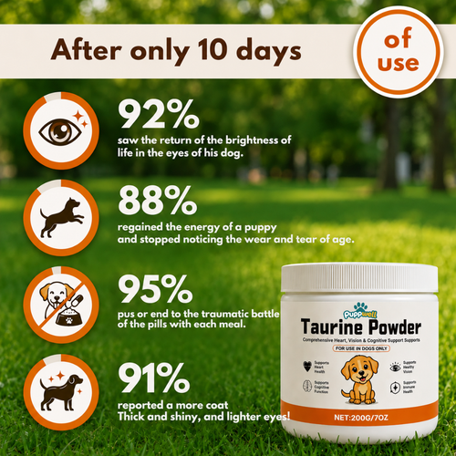 Puppwell™ Taurine for Dogs — Heart Support & Longevity
