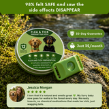 Puppwell™ Flea & Tick Collar Pendant — 12 Months of Protection 2