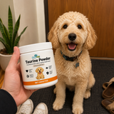 Puppwell™ Taurine for Dogs — Heart Support & Longevity 6